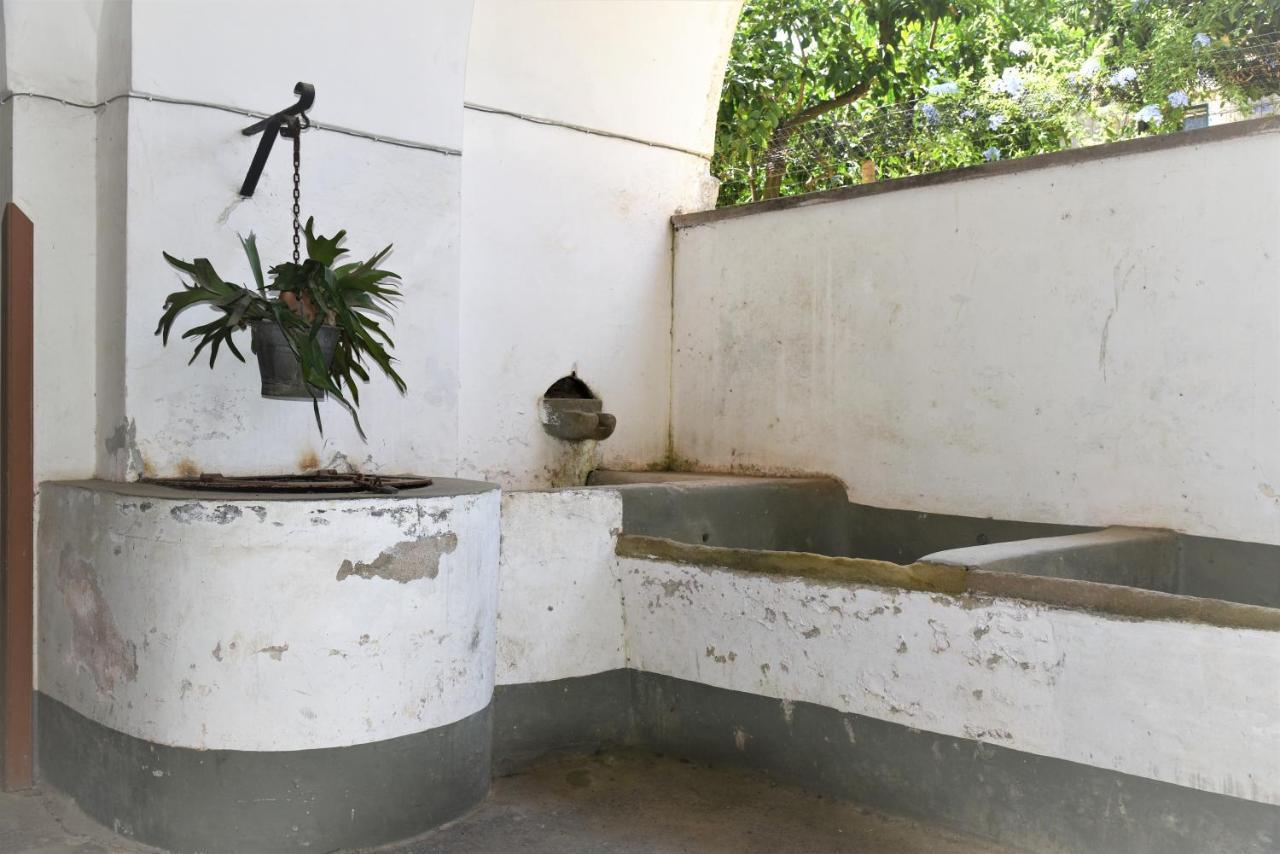 Casa Vacanza "Nonna Matilde" A Meta Di Sorrento, 600Mt Dal Mare, Casa Per 4 Bagian luar foto