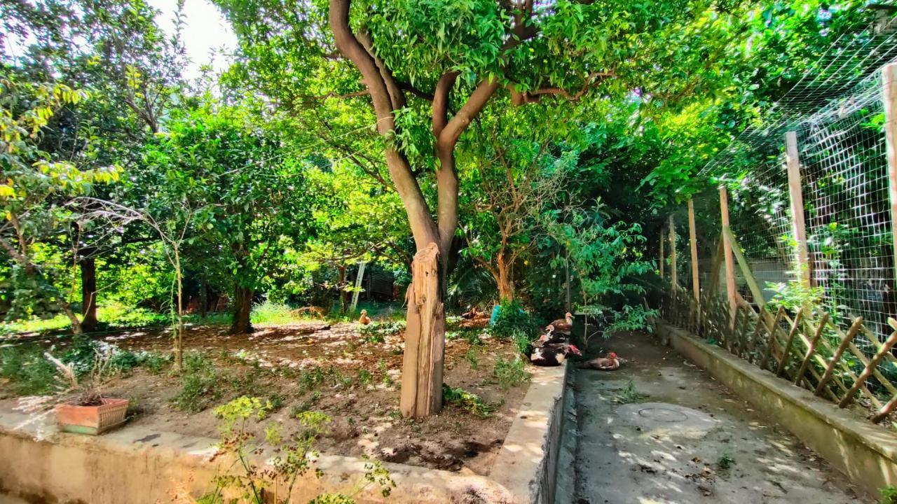Casa Vacanza "Nonna Matilde" A Meta Di Sorrento, 600Mt Dal Mare, Casa Per 4 Bagian luar foto